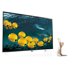LG55UF8590